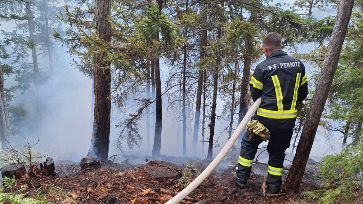 WALDBRAND IN DER NEUSIEDLER „WASSEROASE“ SCHALLHOF