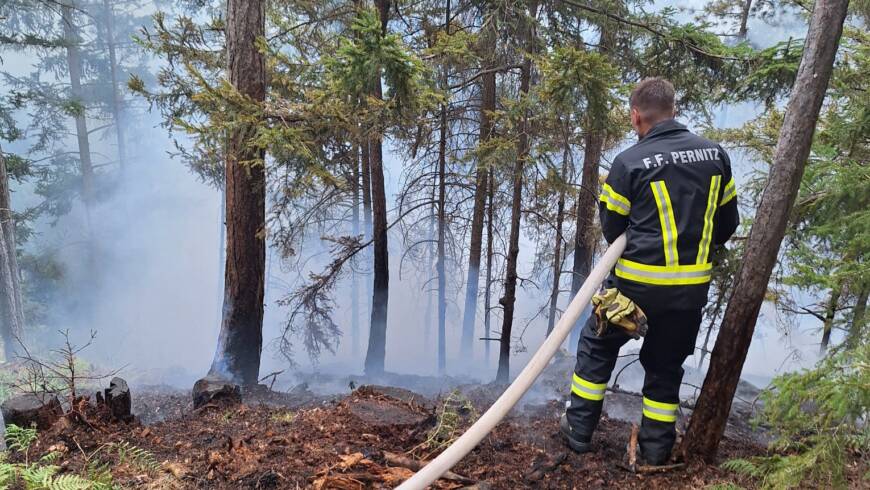 WALDBRAND IN DER NEUSIEDLER „WASSEROASE“ SCHALLHOF